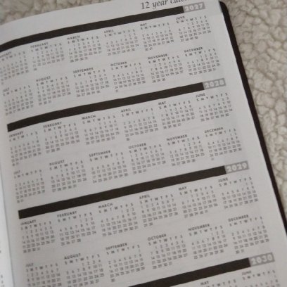 12-Year Calendar